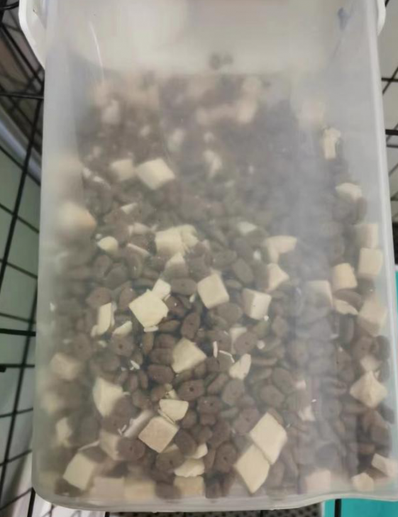 猫粮测评之凯锐思猫粮,选粮不再困难 猫粮测评之凯锐思猫粮,选粮不再困难