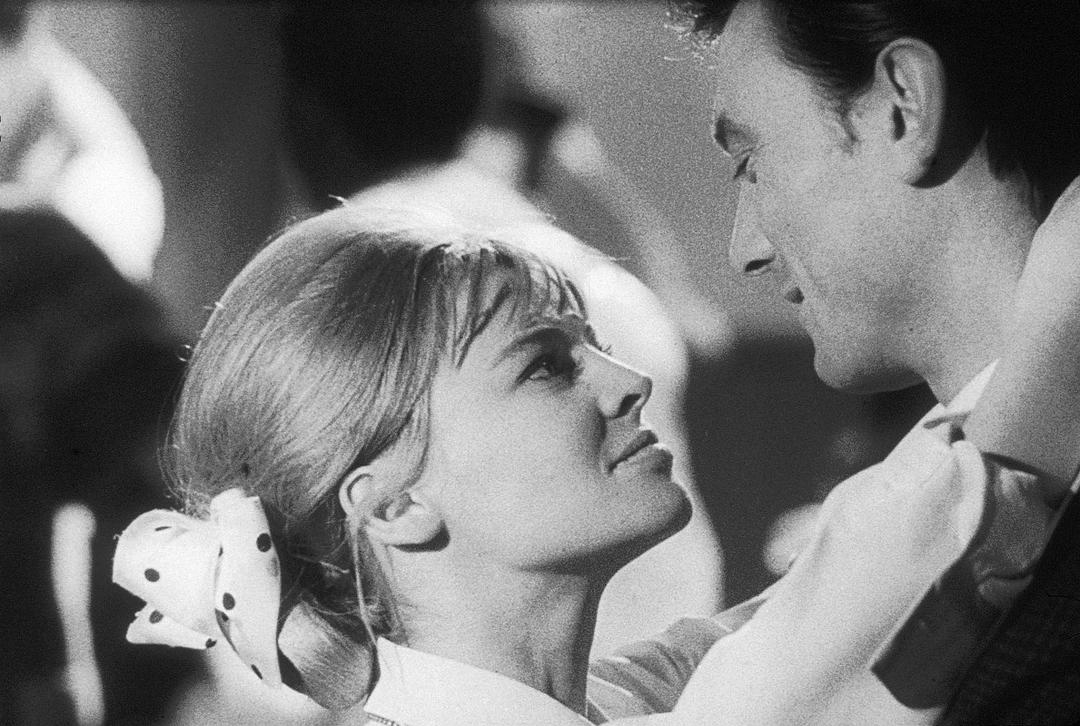 亲爱的(1965)的剧照 亲爱的(1965)的剧照