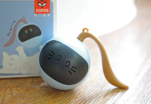 FOFOS 两只福狸 为猫主子提供“私家健身教练”