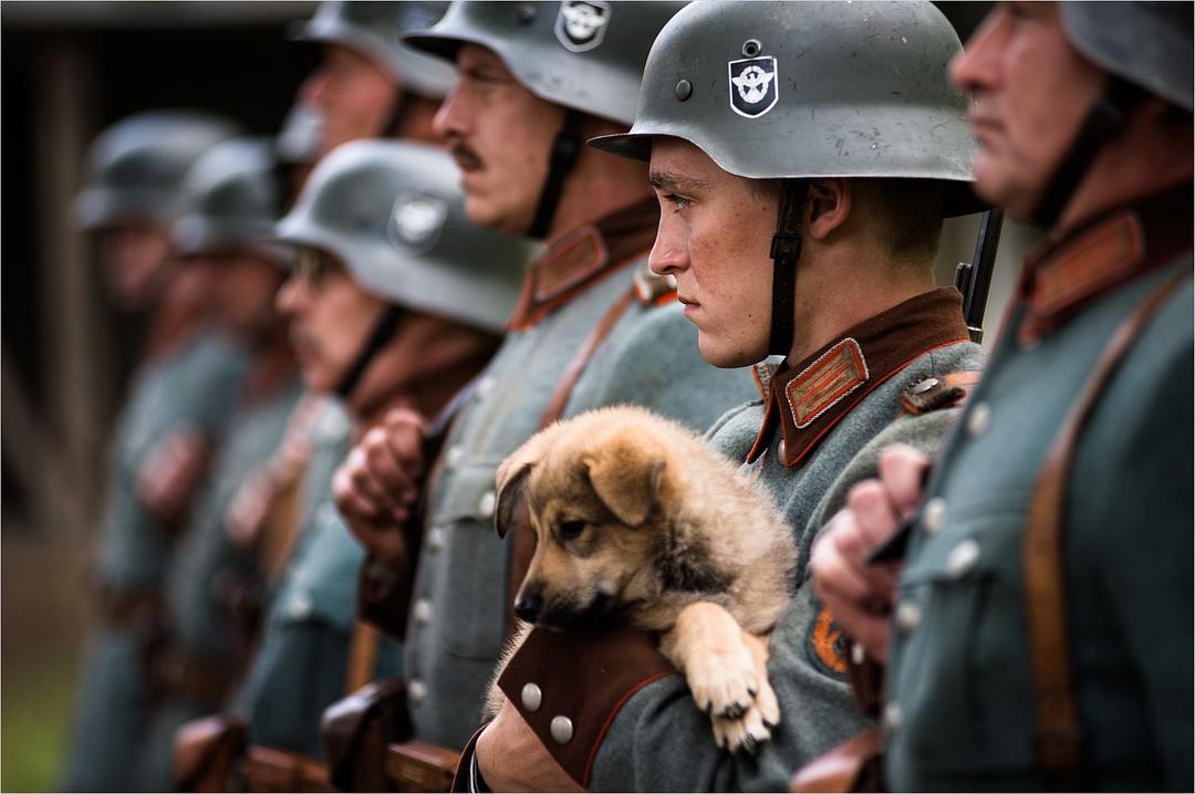 夏至(2015)的剧照 夏至(2015)的剧照