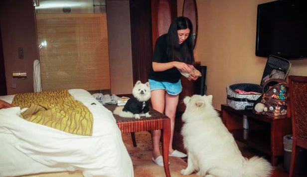 盖夫×爱宠游，携宠泛舟九龙湖！