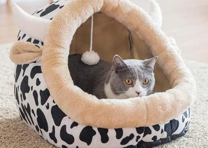 猫咪喜欢怎么样的猫窝？铲屎官来看看吧