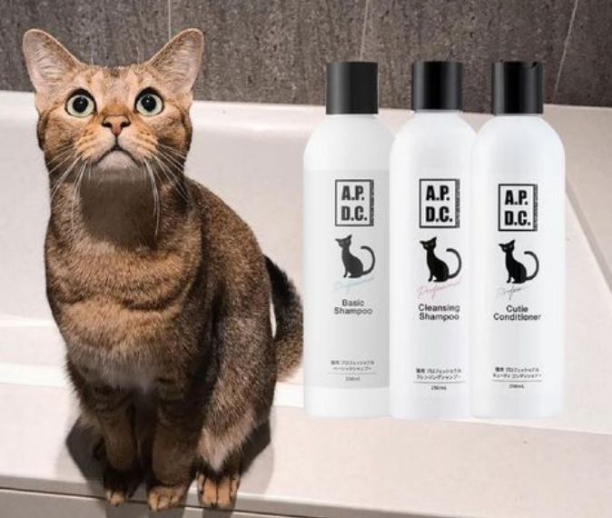 宠物洗护｜ apdc猫咪专用洗护，蓬松又清爽