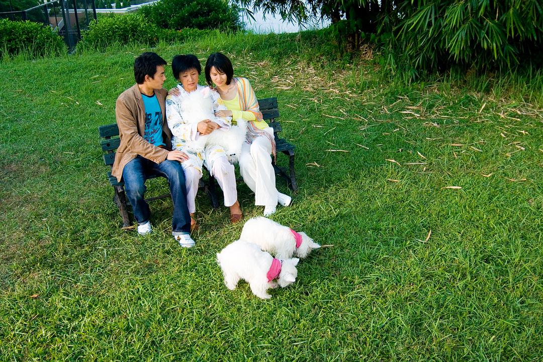 我的狗狗我的爱
(2012)的剧照 我的狗狗我的爱
(2012)的剧照