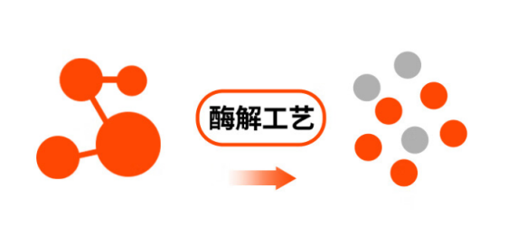 拒绝“养宠焦虑”!凯锐思猫粮帮助你健康养宠! 拒绝“养宠焦虑”!凯锐思猫粮帮助你健康养宠!