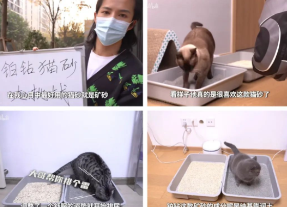 EverClean铂钻引领行业发展,以产品力+内容力推动健康升级 EverClean铂钻引领行业发展,以产品力+内容力推动健康升级