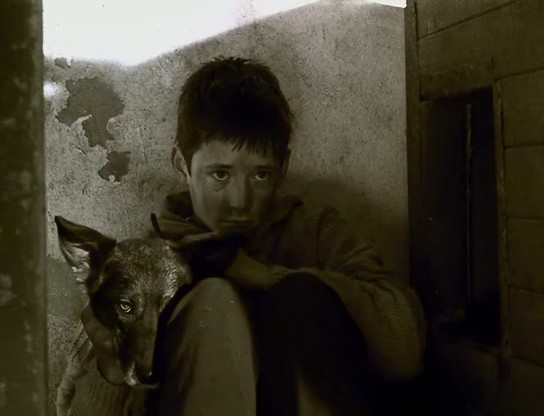 男孩纪事(2001)的剧照 男孩纪事(2001)的剧照