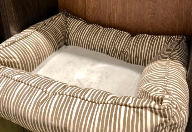 让猫咪爱罢不能的三款猫窝，你的猫咪一眼就会相中它！