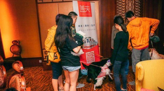 盖夫×爱宠游，携宠泛舟九龙湖！