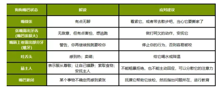 ZEAL真致·几张表格，看懂狗狗的喜怒哀乐！