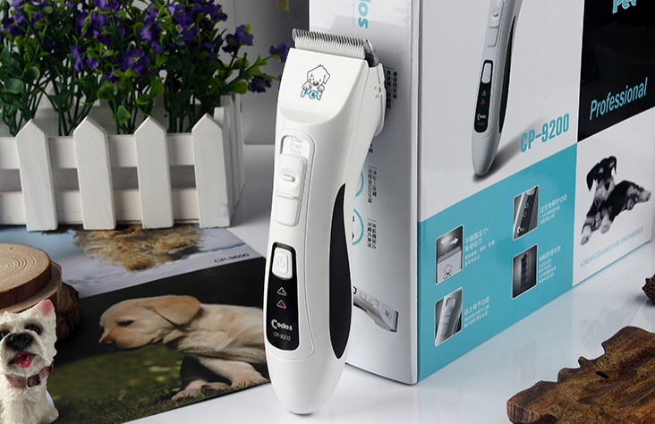 宠物党必选数码科德士：从此拒绝毛发过敏