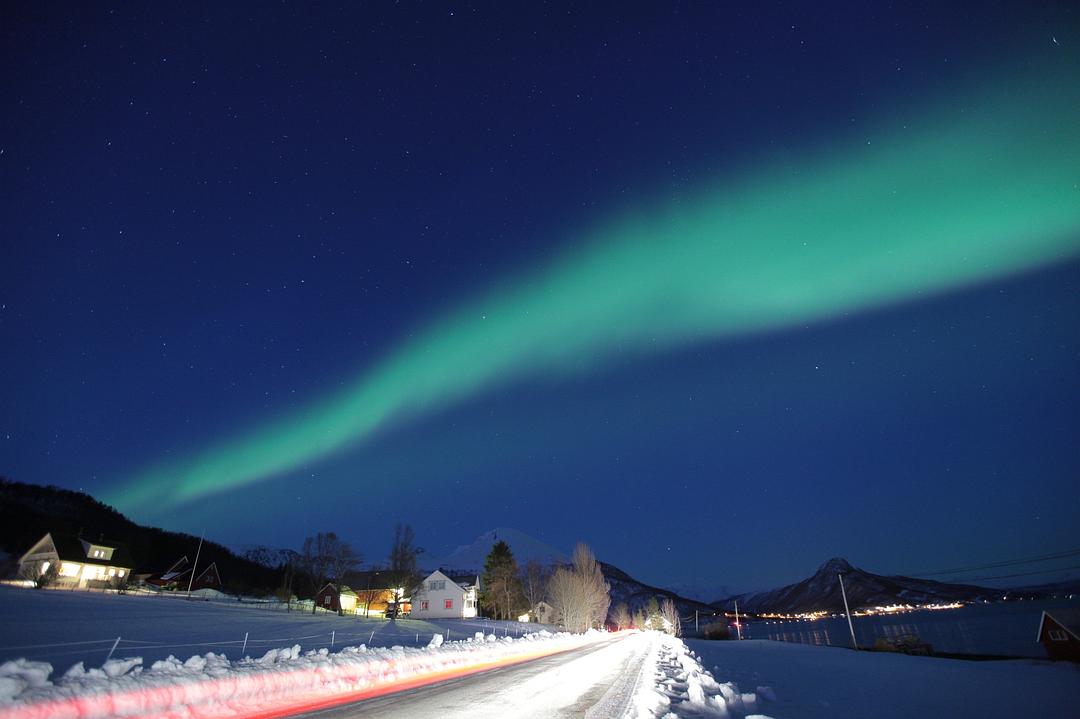 假装情侣
(2011)的剧照 假装情侣
(2011)的剧照