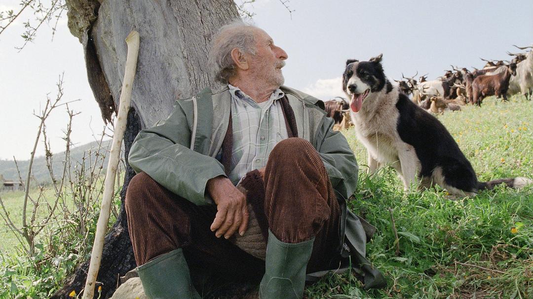 四次(2010)的剧照 四次(2010)的剧照