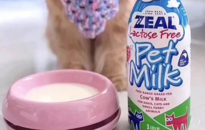 ZEAL真致·拿什么挽回你，国庆期间被“留守”的心！