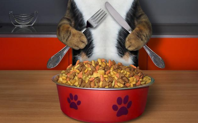 宠小町_源于欧洲的高端宠物主粮_欧帝亿