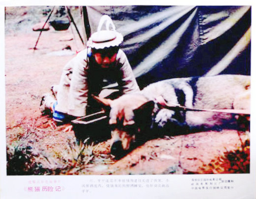 熊猫历险记
(1983)的剧照 熊猫历险记
(1983)的剧照