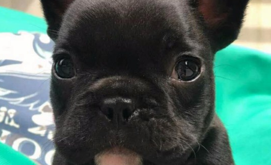 都说法斗不买公的，这是为什么呢？