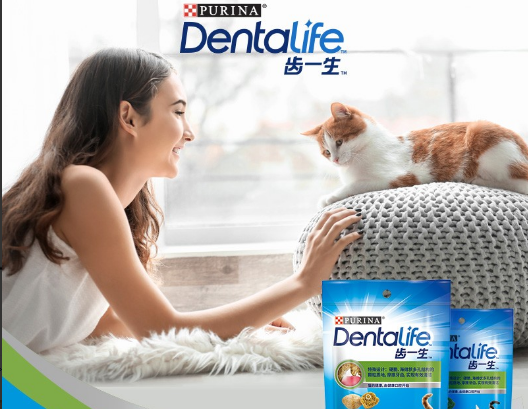 齿一生猫饼干 防止猫咪出现口腔问题