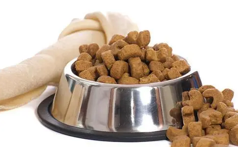 今日科普：换狗粮拉稀用换回去吗