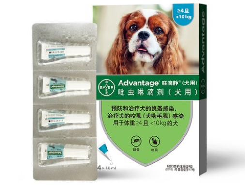 旺滴静专业狗狗体外驱虫，告别跳蚤烦恼