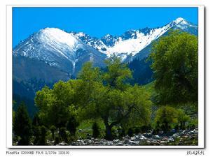 乌苏佛山国家森林公园