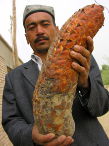 于田县名优特产