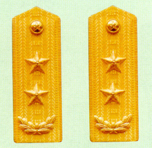 武警中将常服肩章(1988～2007)
