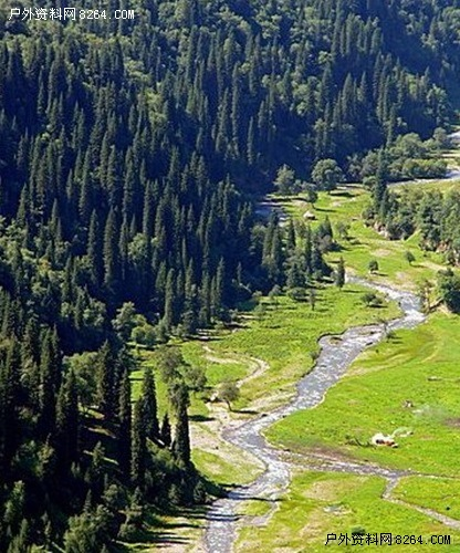 那拉提国家森林公园