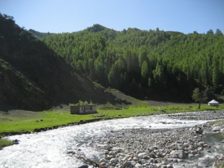 哈日图热格国家森林公园