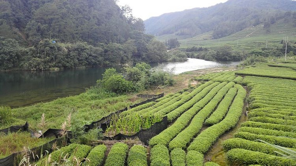 九曲溪星村镇段