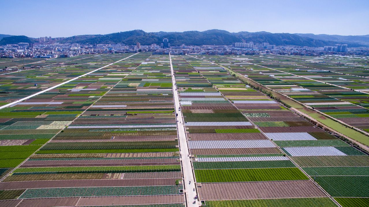 通海县秀山街道大树社区航拍