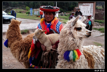 当地羊驼和服饰
