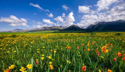 那拉提旅游风景区