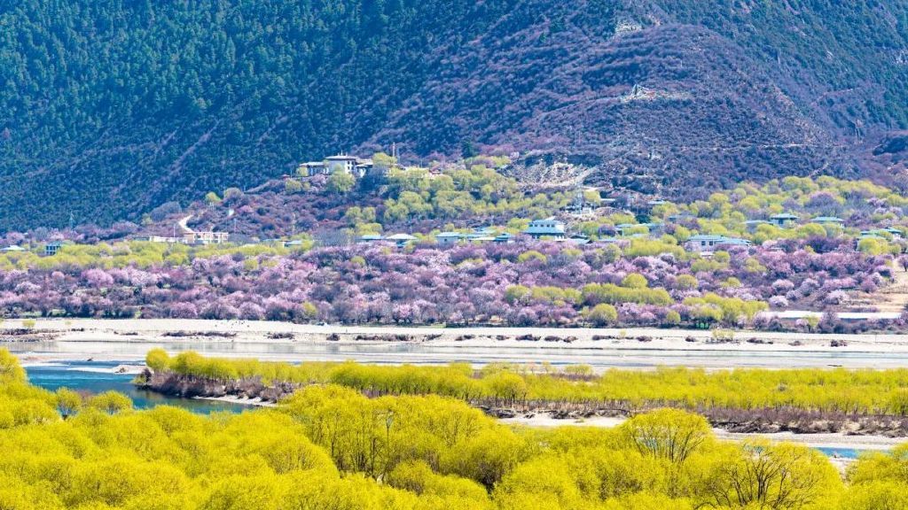 雅鲁藏布江中游——芝林段