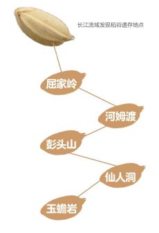 长江流域发现稻谷遗存地点