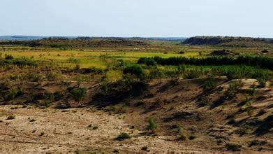 新疆甘家湖梭梭林国家级自然保护区