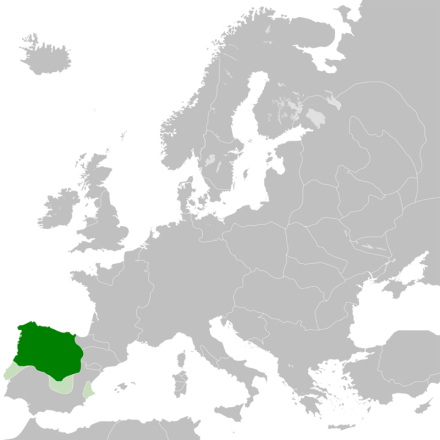 莱昂王国鼎盛时期