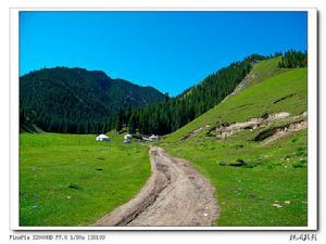 乌苏佛山国家森林公园