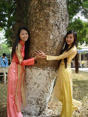 两个身着奥黛的越南女孩