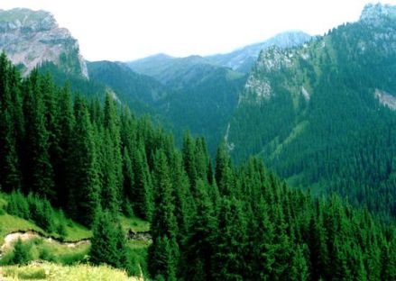 琼博拉森林公园