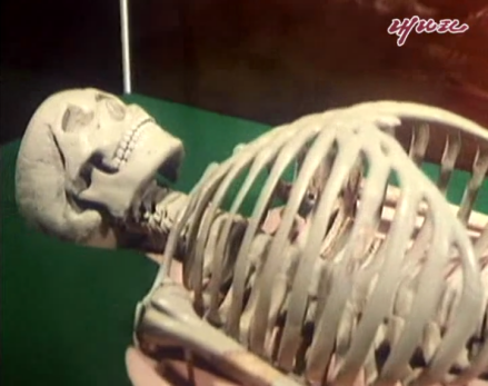 朝鲜宣称发掘出土的檀君尸骨