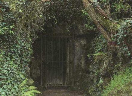 阿尔塔米拉洞窟