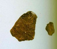 图3 龙涎香碎块