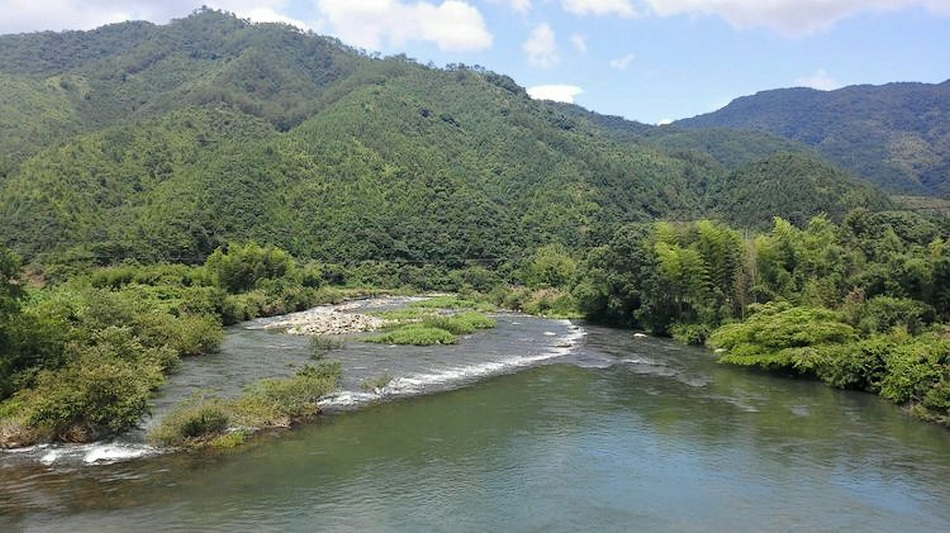西溪武夷山市洋庄段