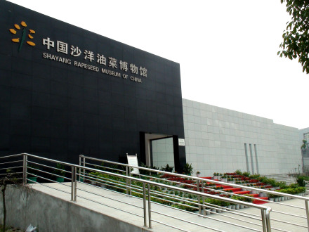 中国沙洋油菜博物馆