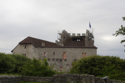 家族起源于瑞士的鹰堡（哈布斯堡）