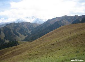 照壁山国家森林公园
