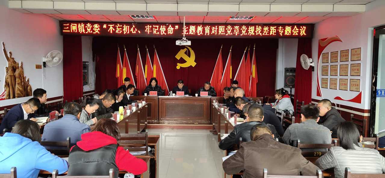 三闸镇党委主题教育对照党章党规好差距专题会议