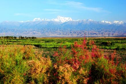 梧桐沟沙漠旅游风景区