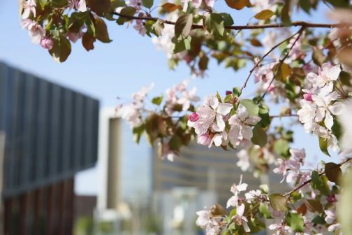 中国石油大学（北京）克拉玛依校区校园风光